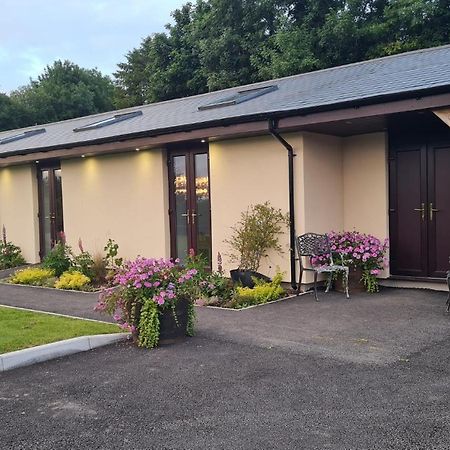 The Old Mountain Stables Caerllwyn Ganol Farm Apartment Newport  Bagian luar foto