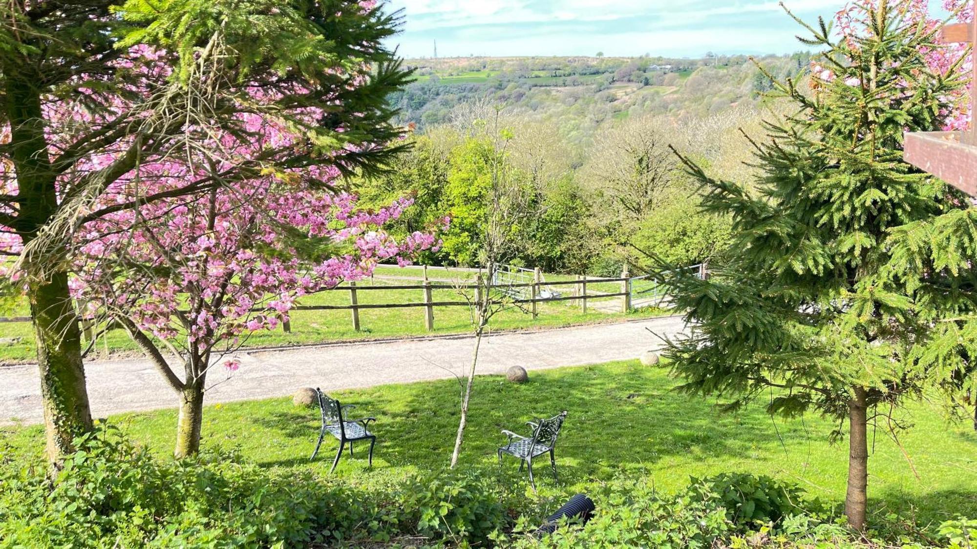 The Old Mountain Stables Caerllwyn Ganol Farm Apartment Newport  Bagian luar foto