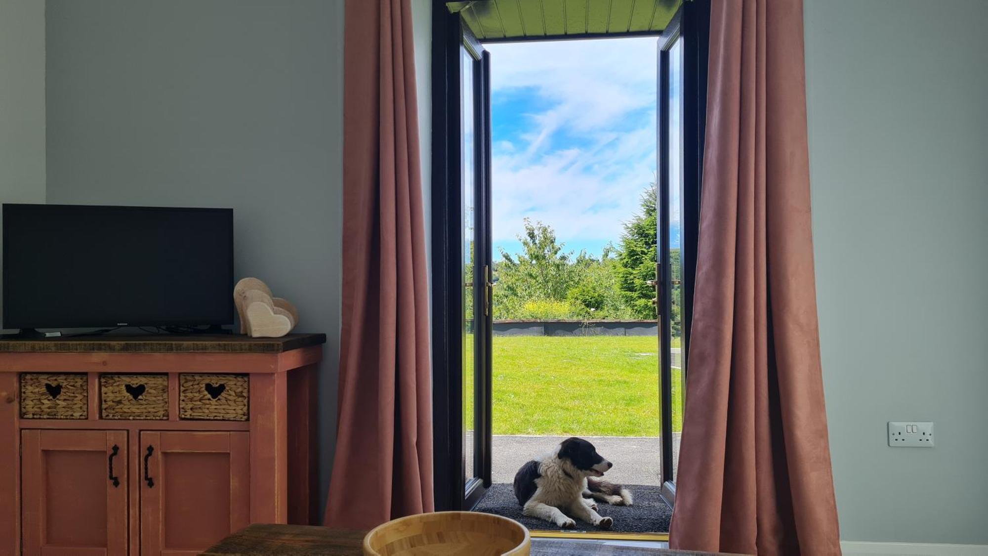 The Old Mountain Stables Caerllwyn Ganol Farm Apartment Newport  Ruang foto